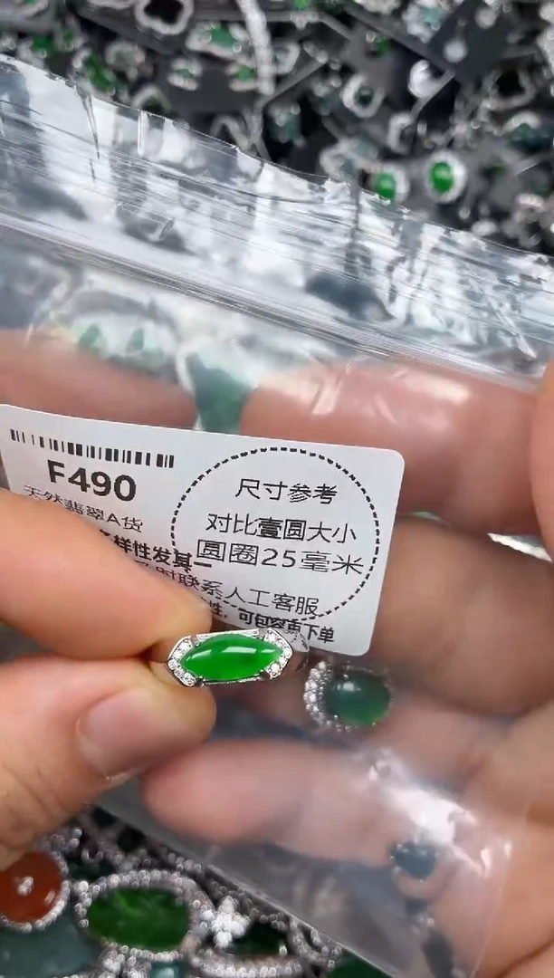 颈饰未镶嵌翡翠F490戒指