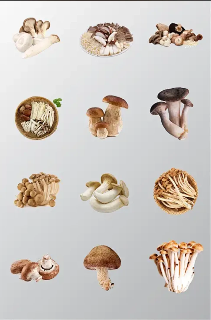 当阳百货干货直播间工专用专拍链接