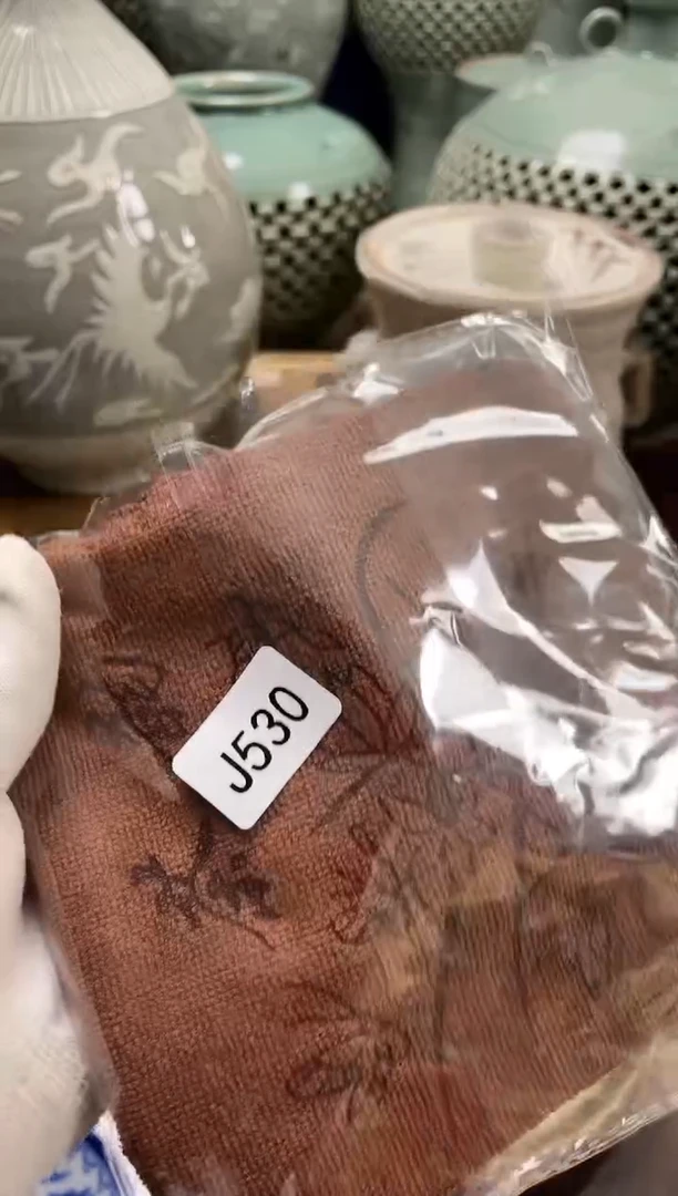 美**生安佳佳直播间j530