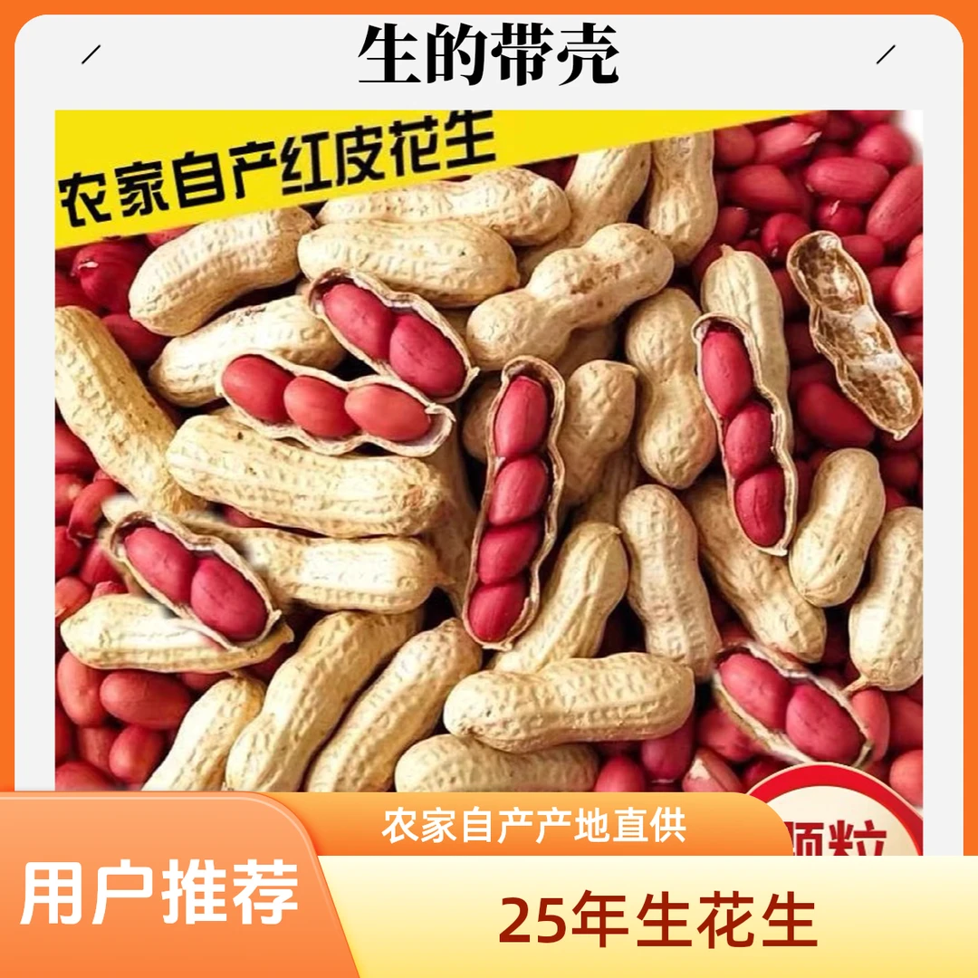 【生的】2025年新红皮小花生带壳生日晒小花生