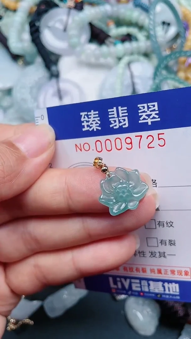 颈饰未镶嵌翡翠.0009725