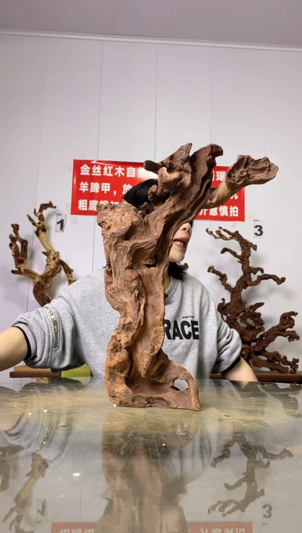 【闪购商品】木20金丝红木 羊蹄甲