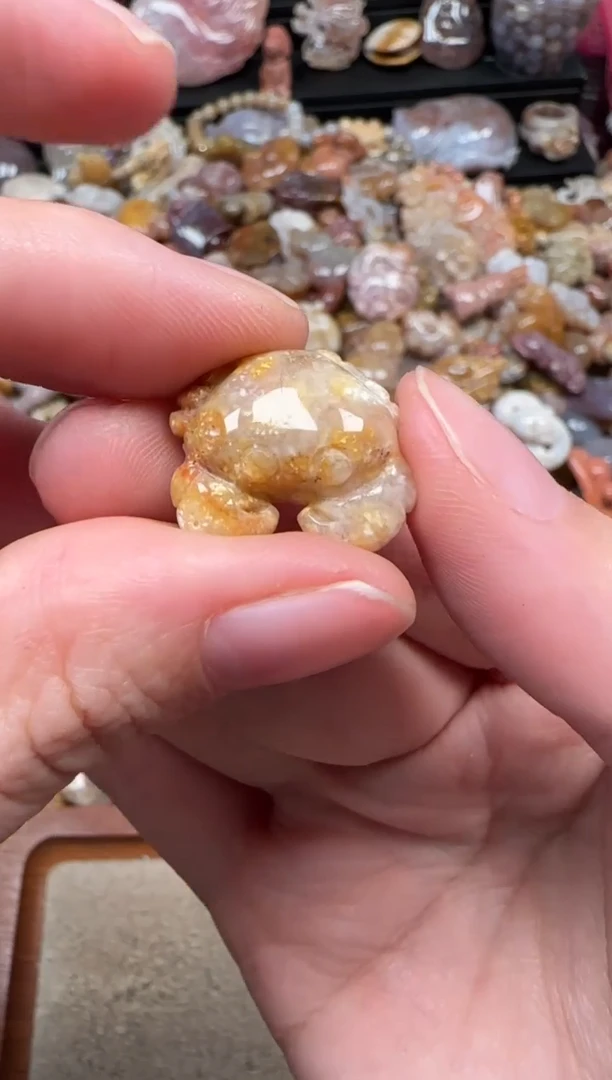 颈饰未镶嵌硅化珊瑚（珊瑚玉）793