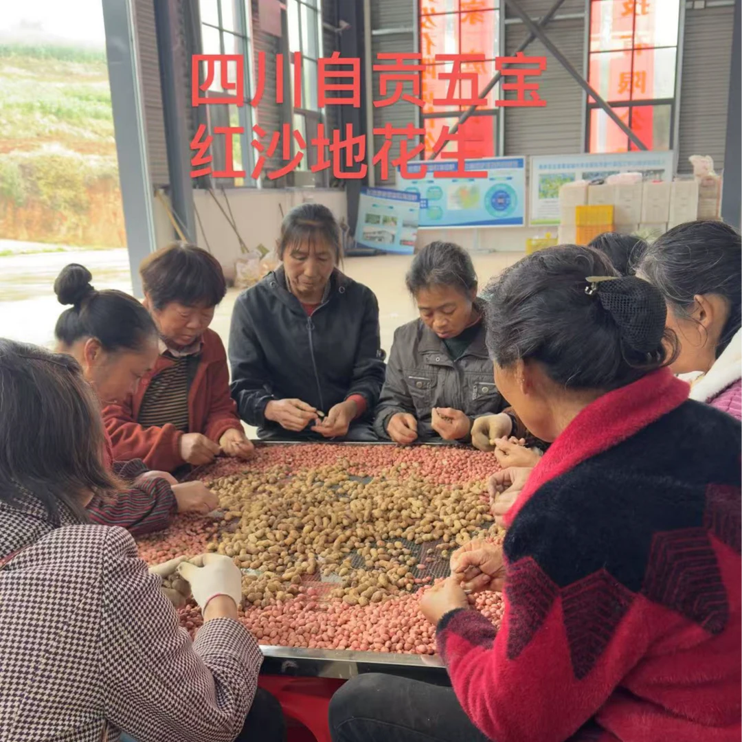 【四川自贡五宝镇】红沙花生干花生