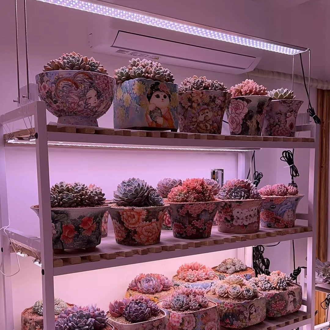 【小园子推荐】珀誉多肉补光灯上色全光谱家用防徒仿太阳植物生长灯