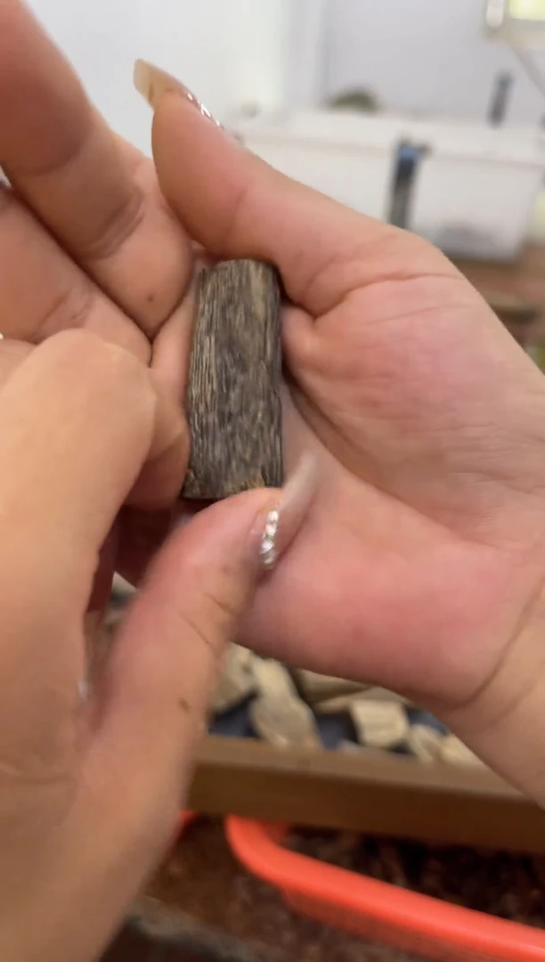 沉香手把件随型料