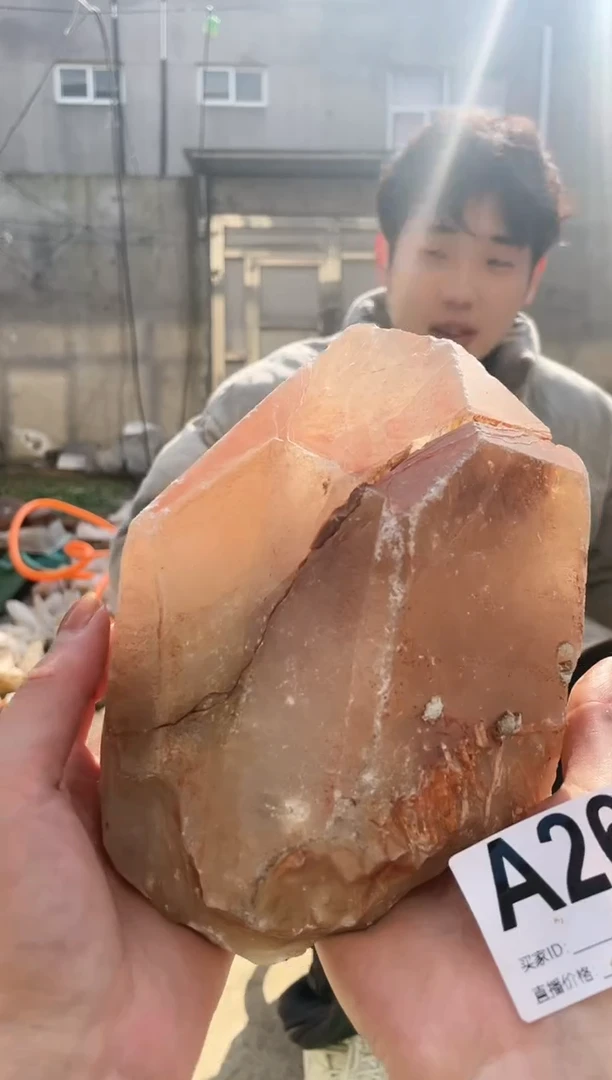 【闪购商品】水晶摆件未镶嵌鳄鱼皮骨干水晶   264