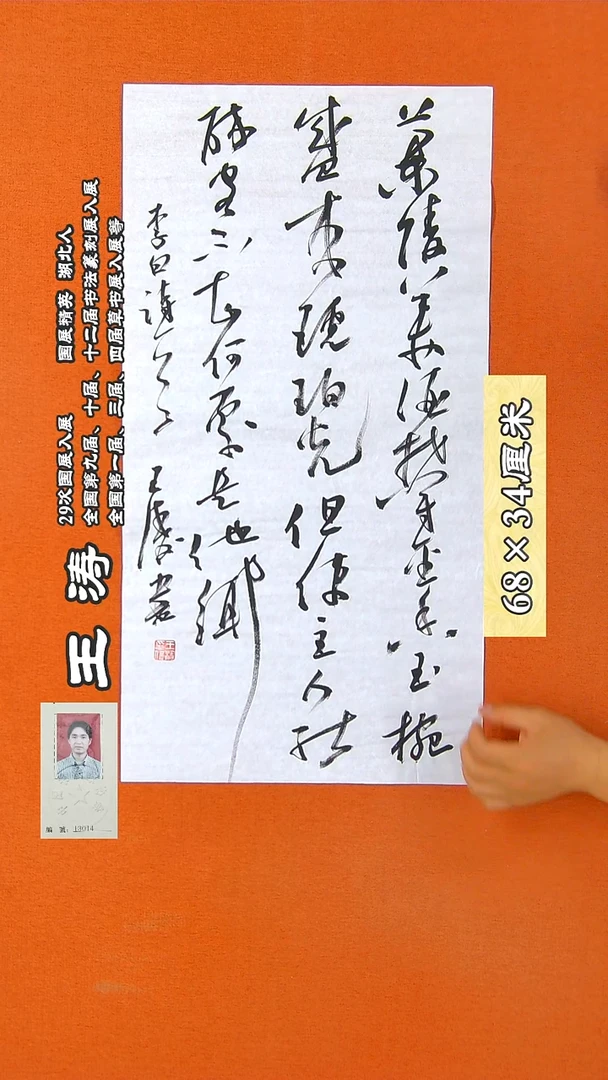 书法92R王涛书法作品