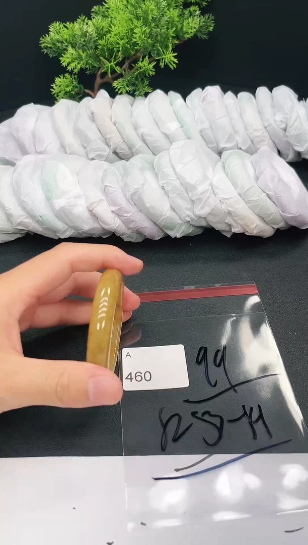 未镶嵌手镯翡翠460