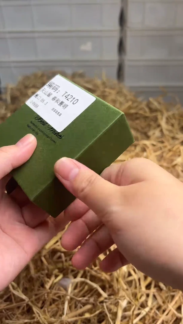未镶嵌手镯石英质玉T4210