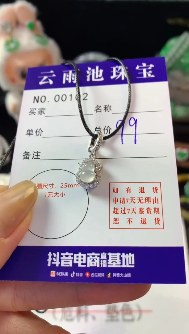 翡翠银S925镶嵌颈饰翡翠