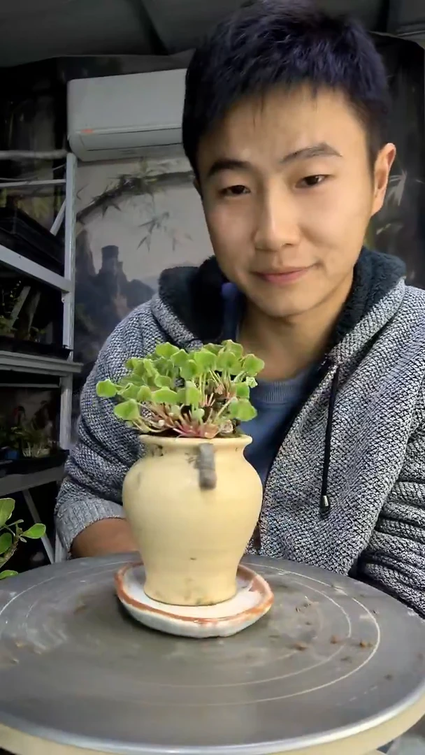 ?中青园艺一物一拍482