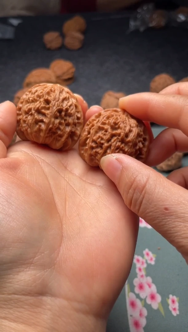 把件文玩核桃w312   白狮子 38尺