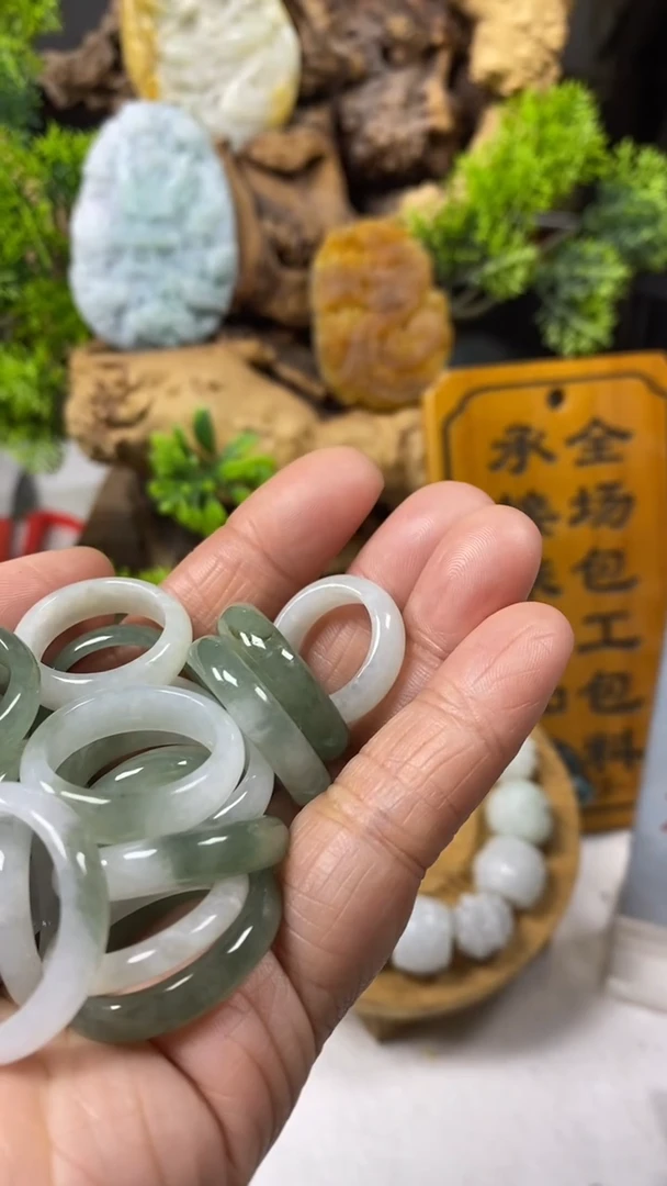 【闪购商品】翡翠颈饰未镶嵌多样性发其一0211