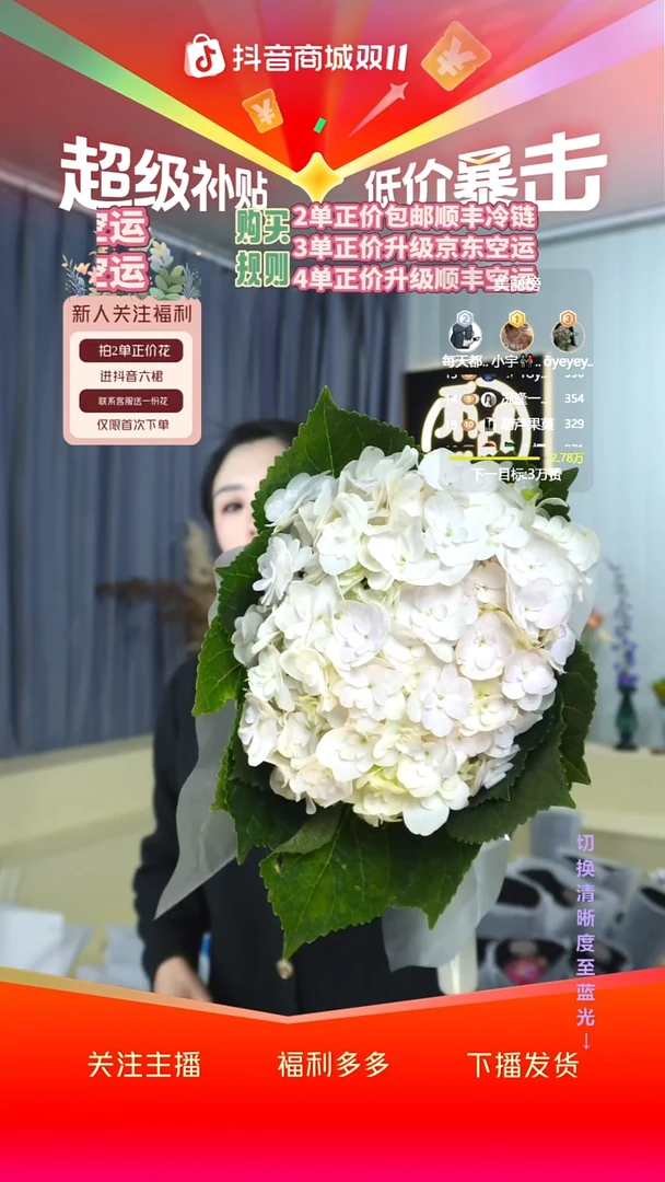 完全开放34号绣球 有色差介意勿拍