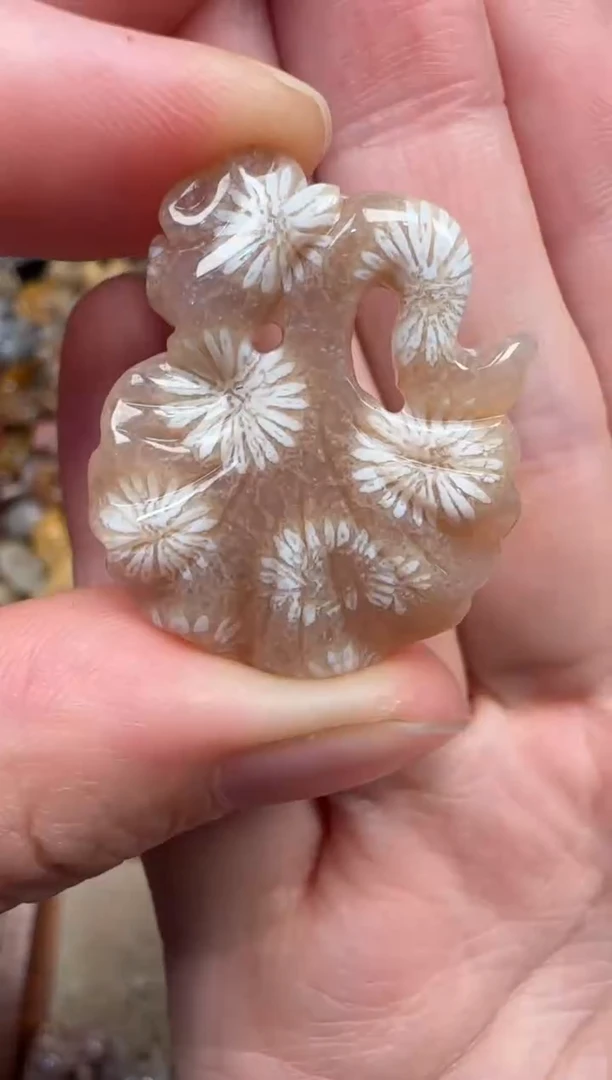 颈饰未镶嵌硅化珊瑚（珊瑚玉）343