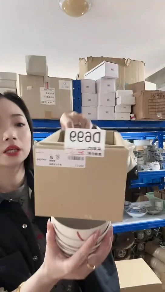 【闪购商品】瓷片进口百货赤绘11cm碗五只不同花D699