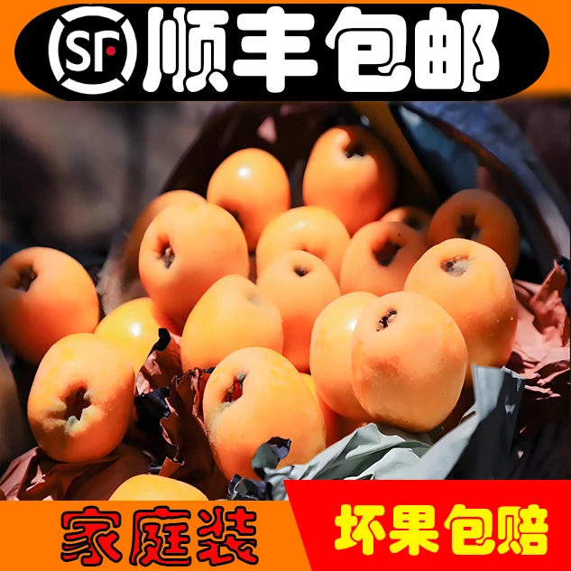 △【20-55g】四川大凉山老树大五星枇杷应季水果礼盒装顺丰包邮