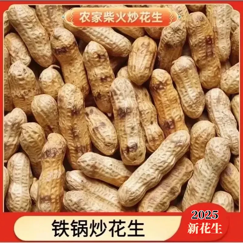 精选2斤【柴火炒花生】25年新货原味炒小珍珠花生新鲜现炒香酥脆1斤