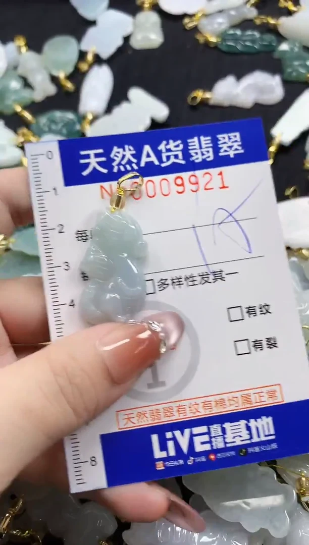 颈饰未镶嵌翡翠天然A货翡翠