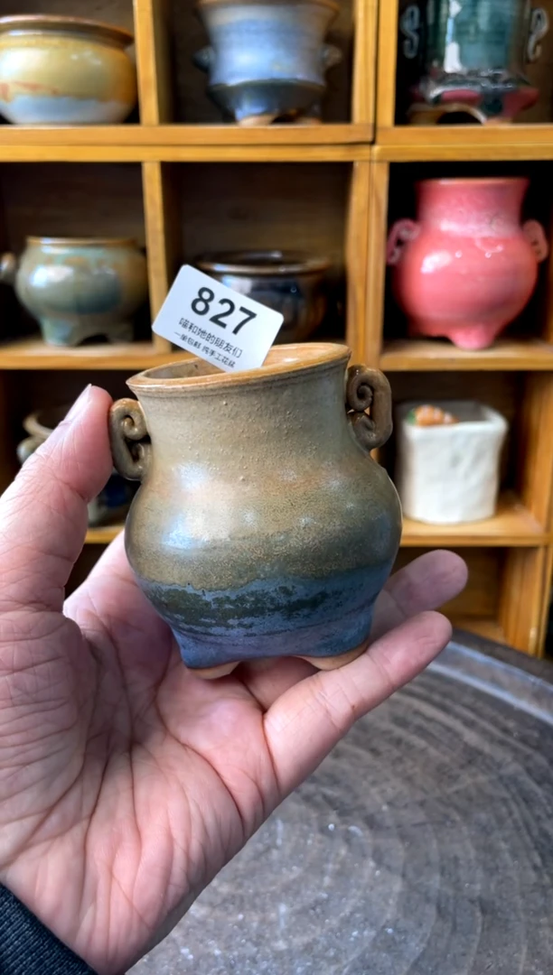 827【多肉花盆多肉盆】