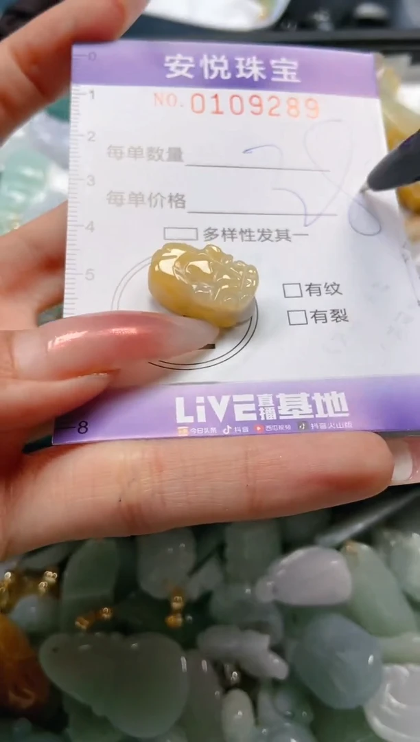【闪购商品】翡翠颈饰未镶嵌闪购0109289