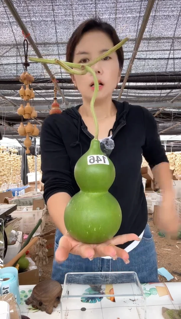 146天然葫芦摆件 一物一拍龙头不保售后