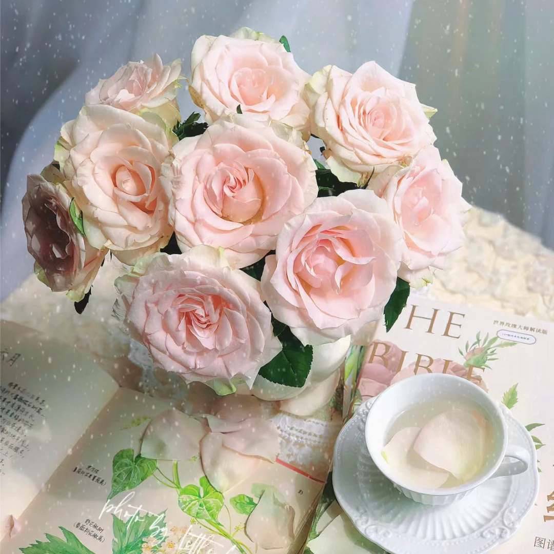 【小阿阮】A级粉爱神单玫瑰花期长 适合所有家居的鲜插花 顺丰空运