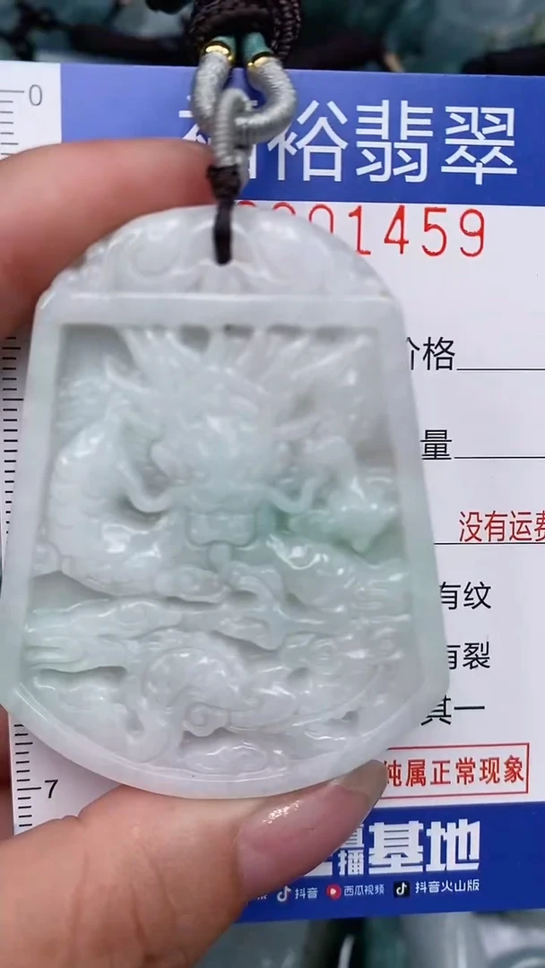 翡翠未镶嵌颈饰...0001459
