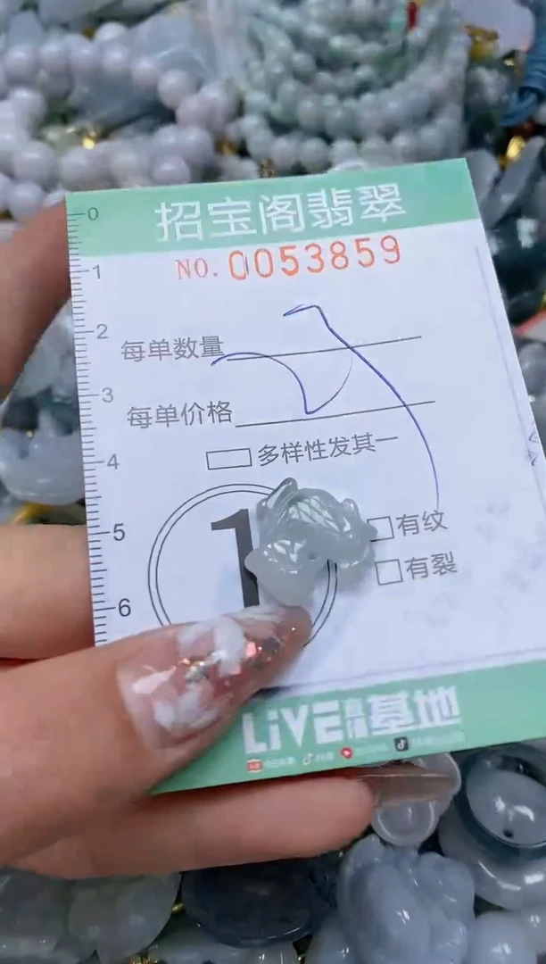 【闪购商品】翡翠颈饰未镶嵌闪购商品0053859