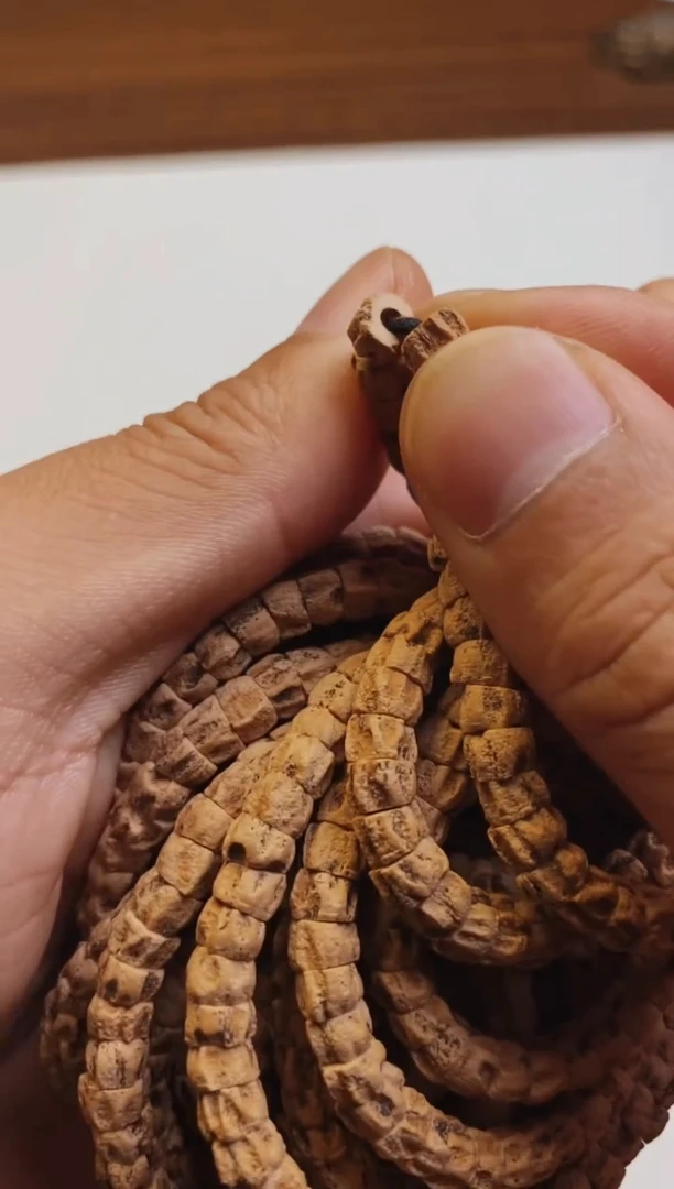 柏香籽/百香籽手串【天策出品】-- 蝰