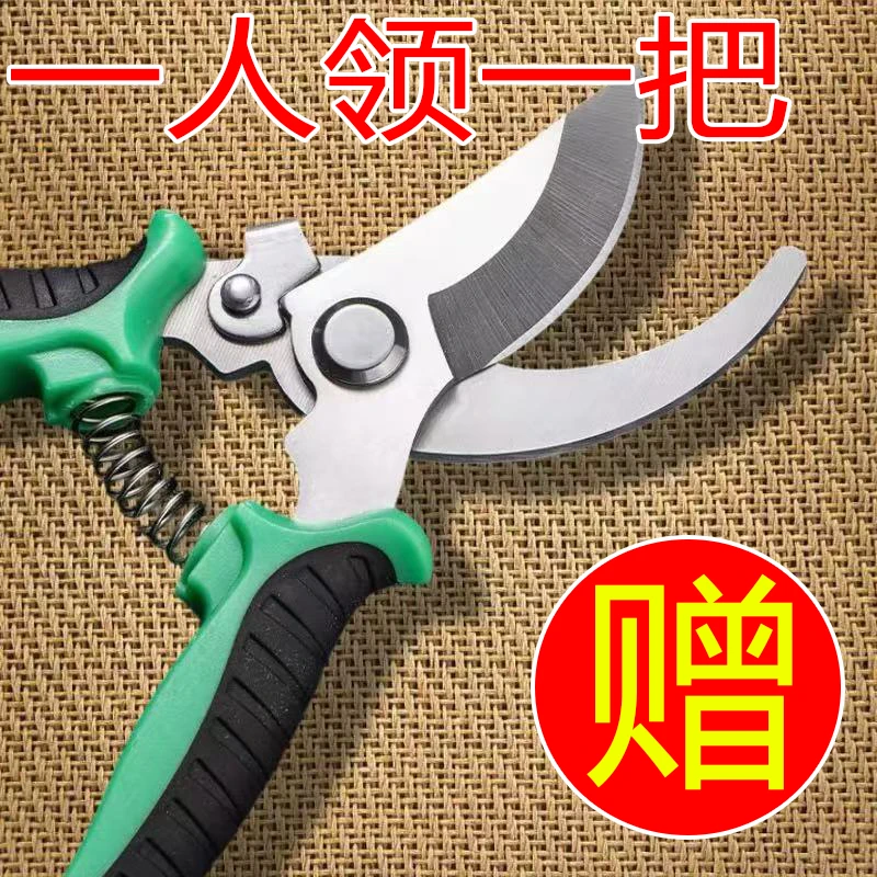 德国工艺进口钢枝剪剪树剪子果树剪修枝剪刀家用花木葡萄修剪树枝