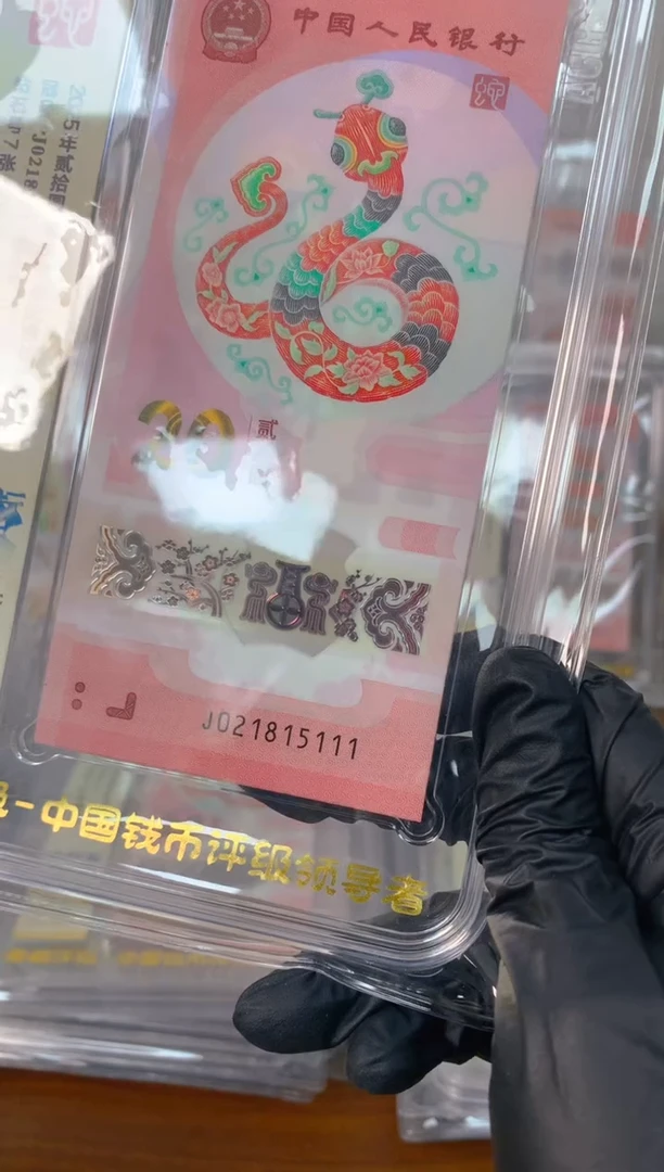 塑料2025蛇钞 真钞 评价封装 标十