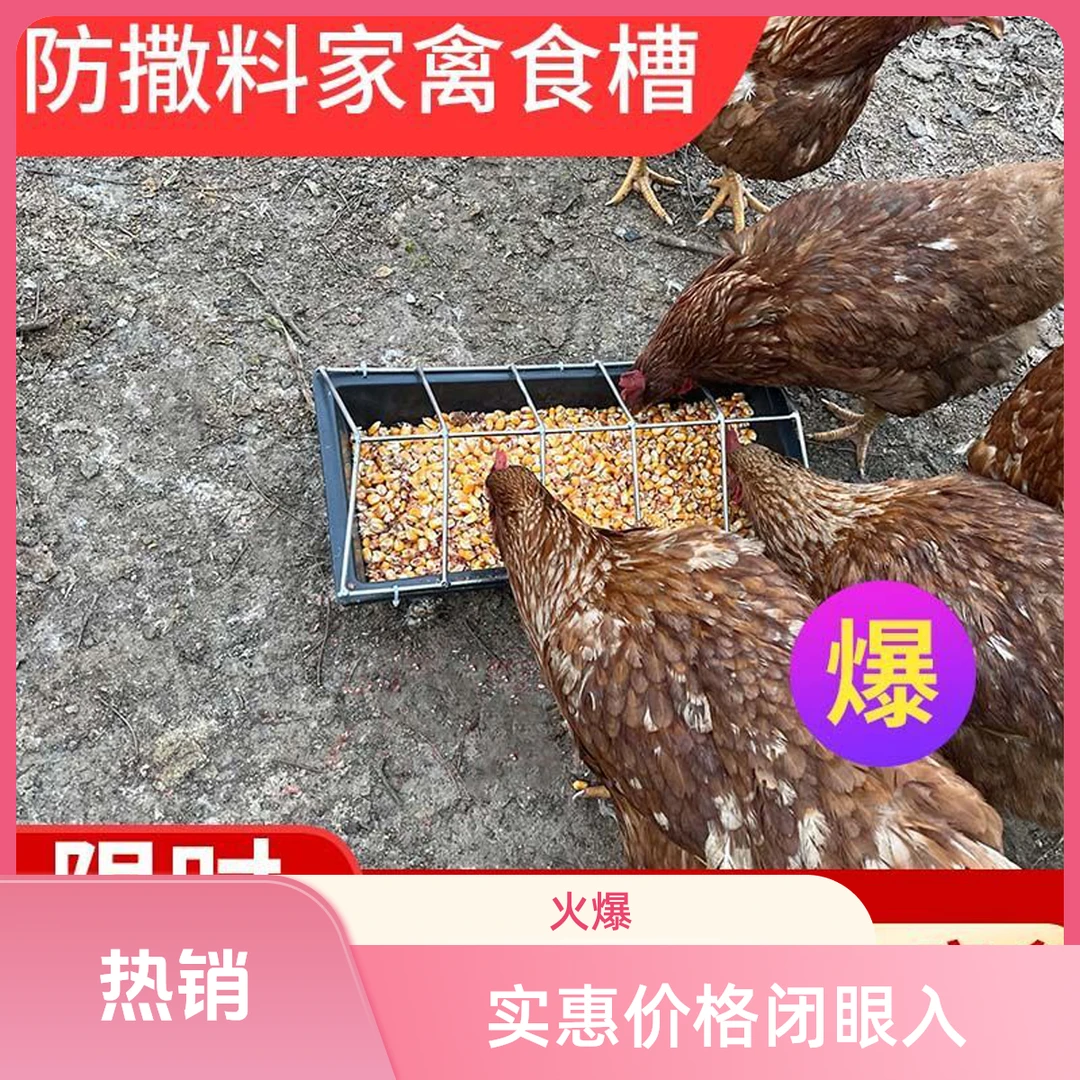 鸡食槽自动喂食器小鸡下料器防撒鸡鸭鹌鹑饲料桶鸽子自动喂食料桶