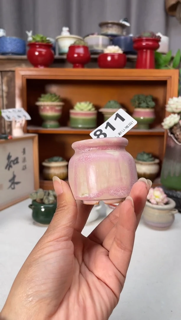 瓷片811小芳直播编号