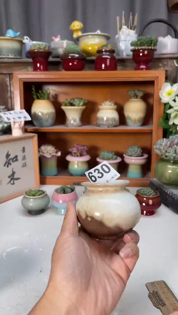 瓷片630小芳直播编号