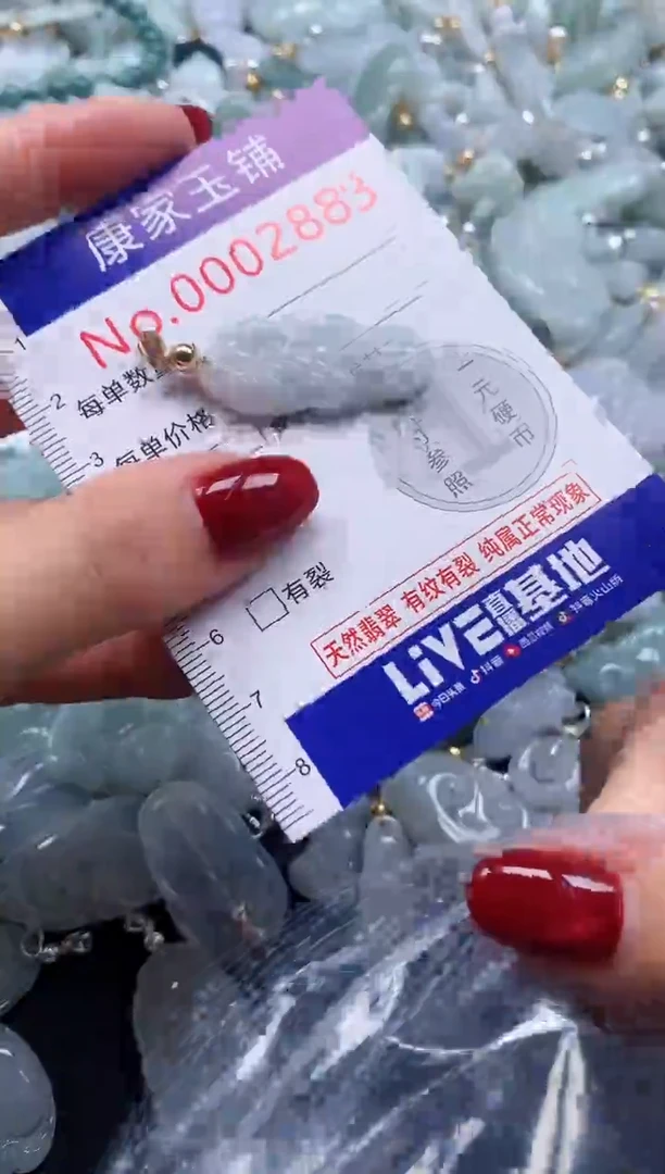 颈饰未镶嵌翡翠2883
