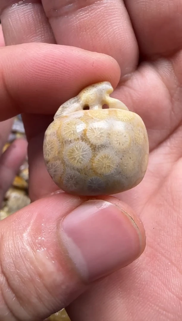 【闪购商品】硅化珊瑚（珊瑚玉）颈饰未镶嵌573