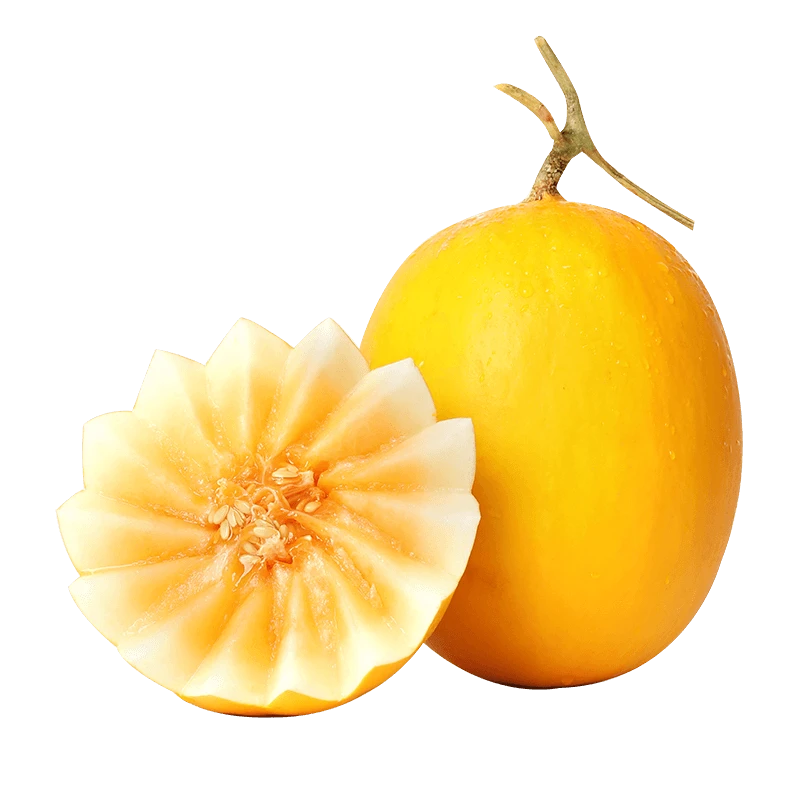 甘肃民勤蜜瓜沙漠金红宝脆甜多汁应季水果现摘现发