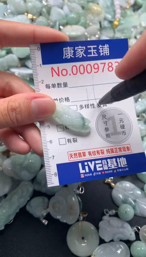 颈饰未镶嵌翡翠9783