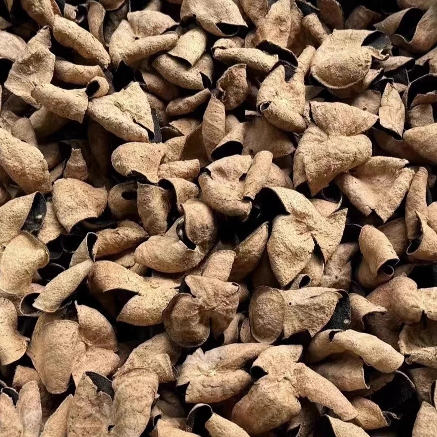 新会陈皮临时链接