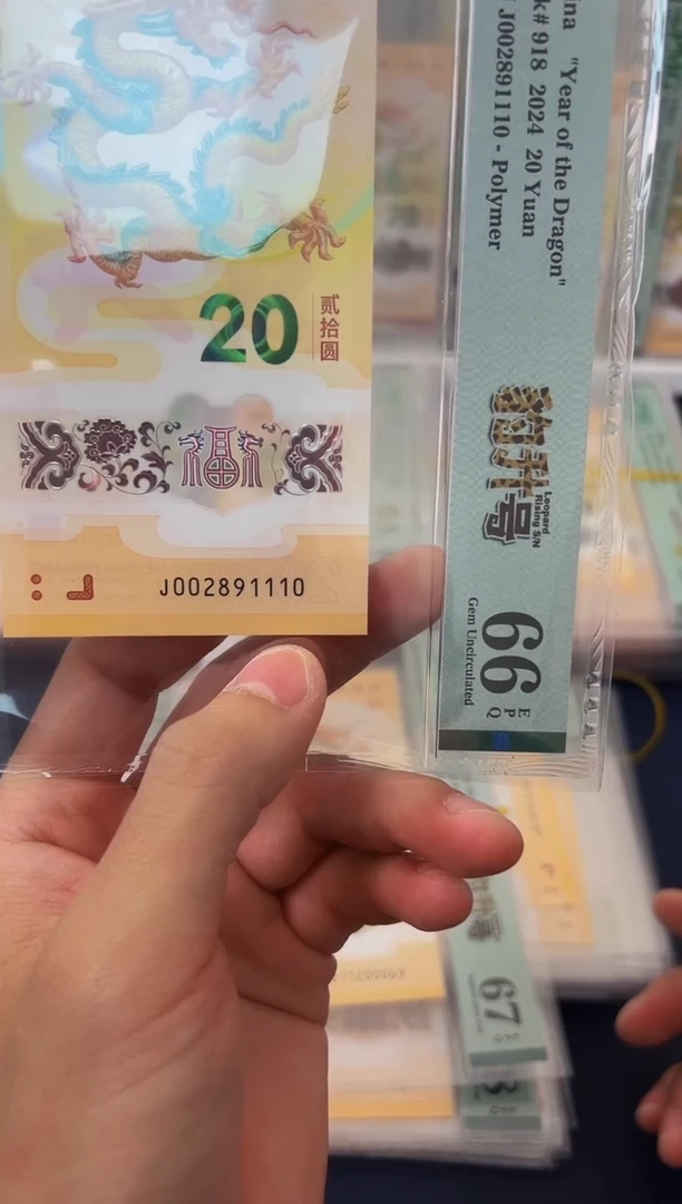 塑料24年龙钞豹升号朦胧-PMG66