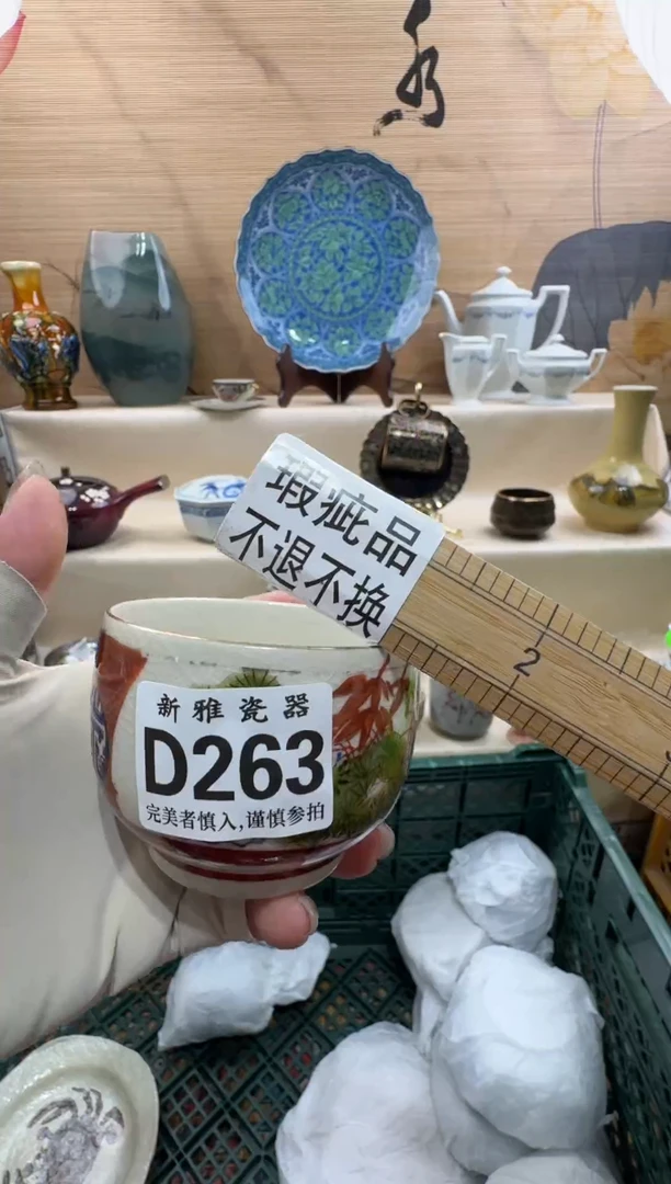 瓷片小***饭         D263