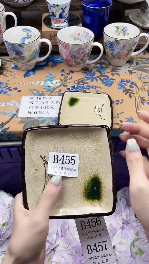 瓷片乌****）                B455