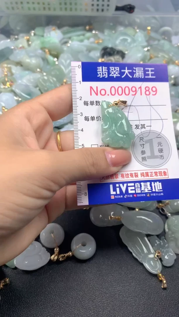 颈饰未镶嵌翡翠9189