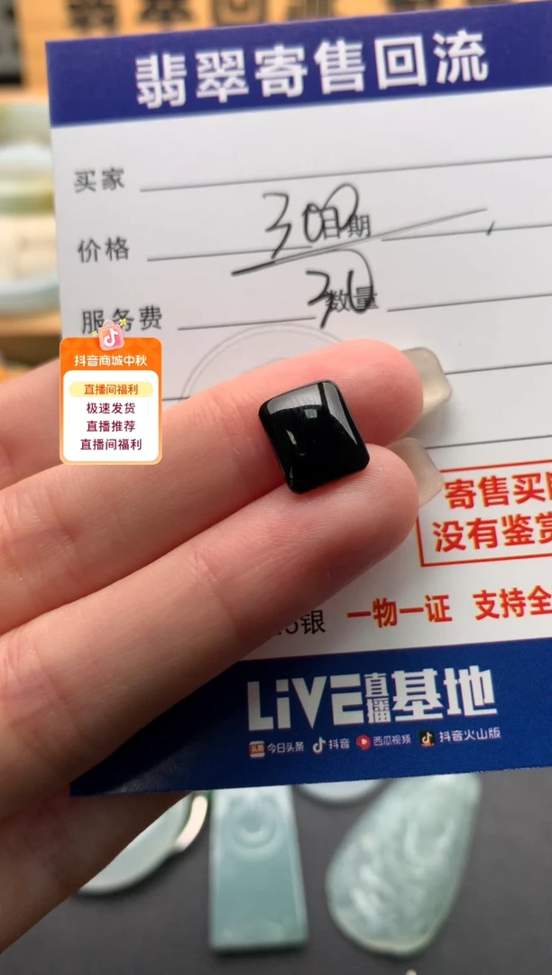 颈饰未镶嵌翡翠10146048
