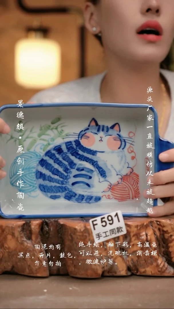 其他F591新十二器