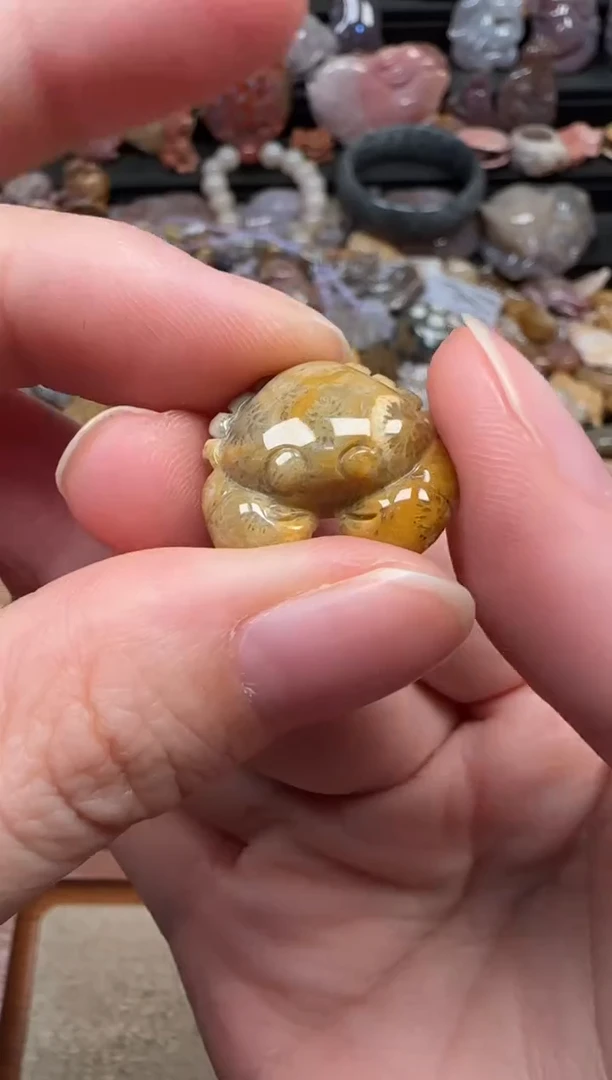 颈饰未镶嵌硅化珊瑚（珊瑚玉）021