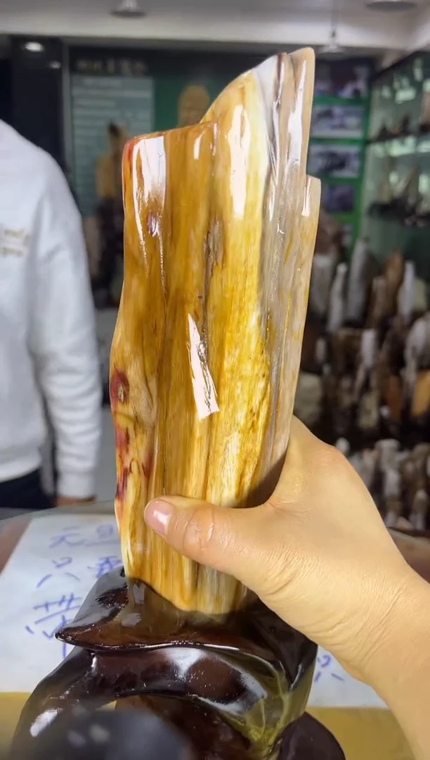 未镶嵌珠宝奇石硅化玉缅甸天然树化玉精品居家摆件