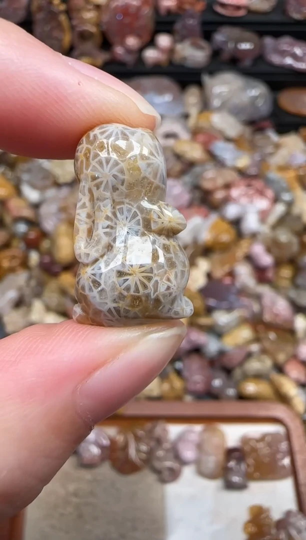 颈饰未镶嵌硅化珊瑚（珊瑚玉）349